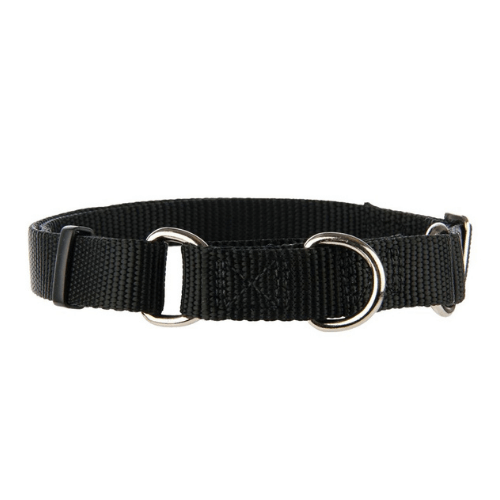 top paw leather dog collar