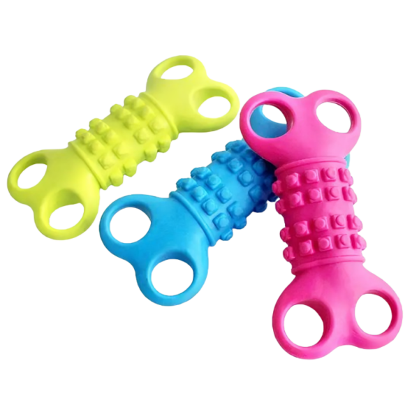 Four Hole Bone Toys for Dogs | Pet City Shop