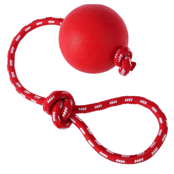 High-Quality Durable Rubber Ball for Dogs | Pet City Shop