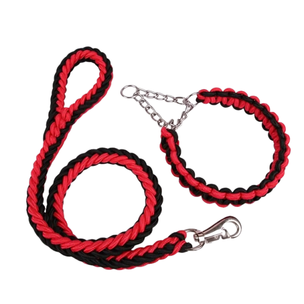 Leash with Collar for Medium to Large Dogs | Pet City Shop