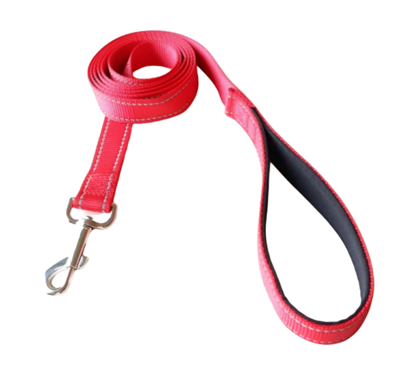 Reflective Nylon Dog Leash with Soft Padded Handle from Pet City Shop