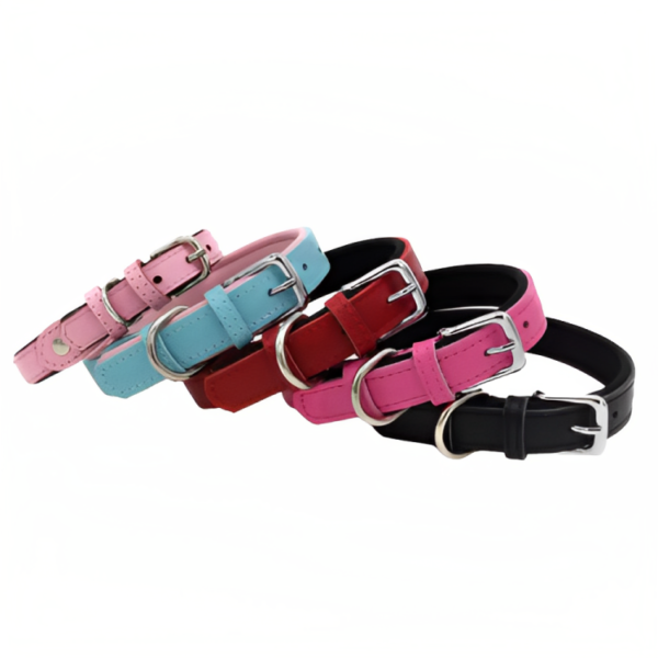 Leather Dog and Cat Collar in Various Colors - Pet City Shop