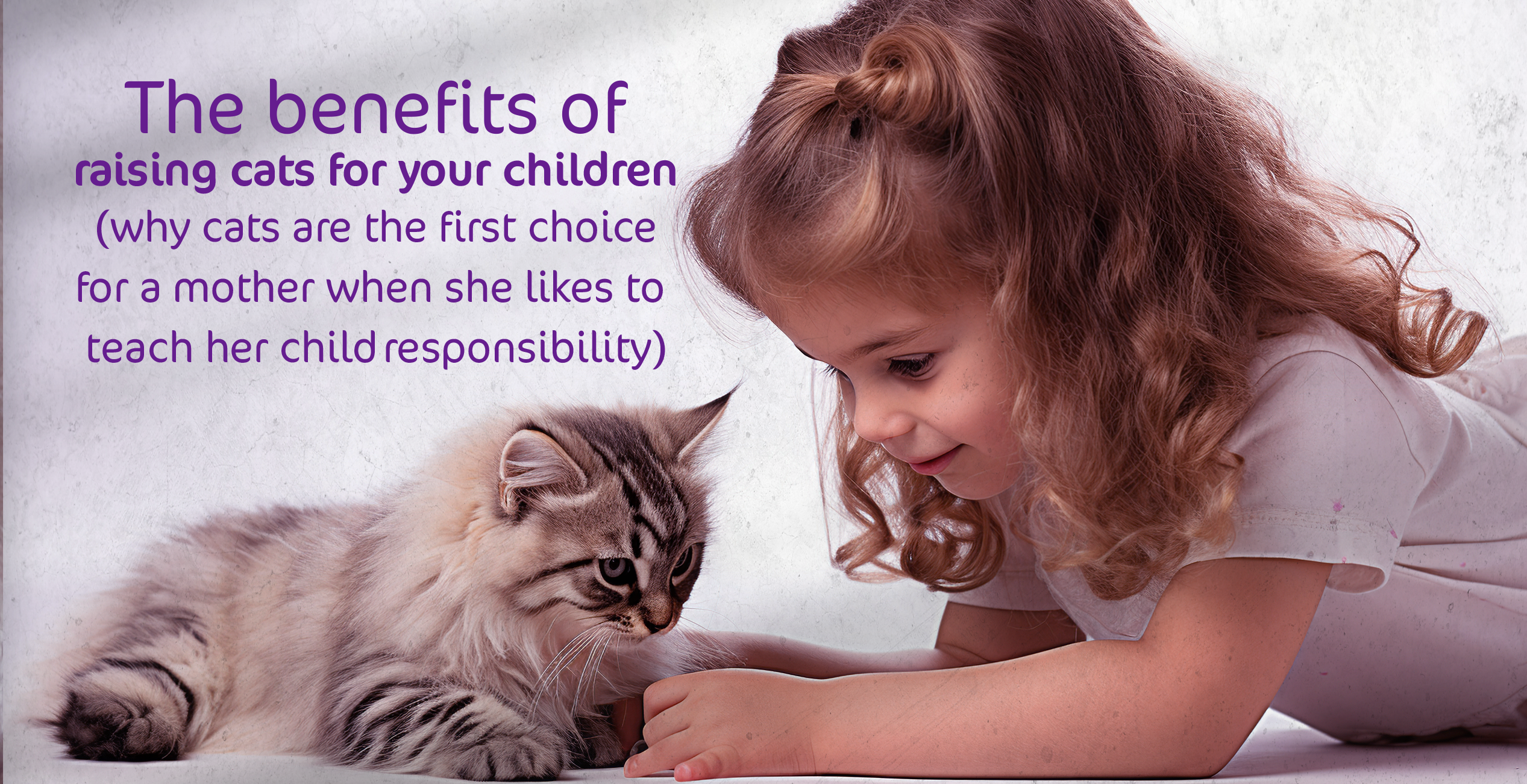 The benefits of raising cats for your children (Why cats are the first choice for a mother when she likes to teach her child responsibility)