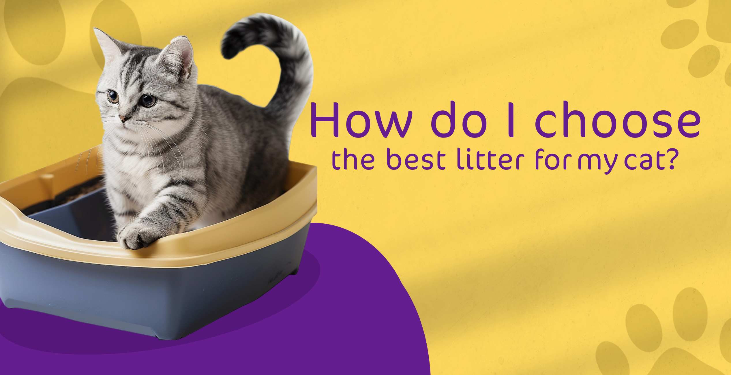 How do I Choose the best litter for my cat?